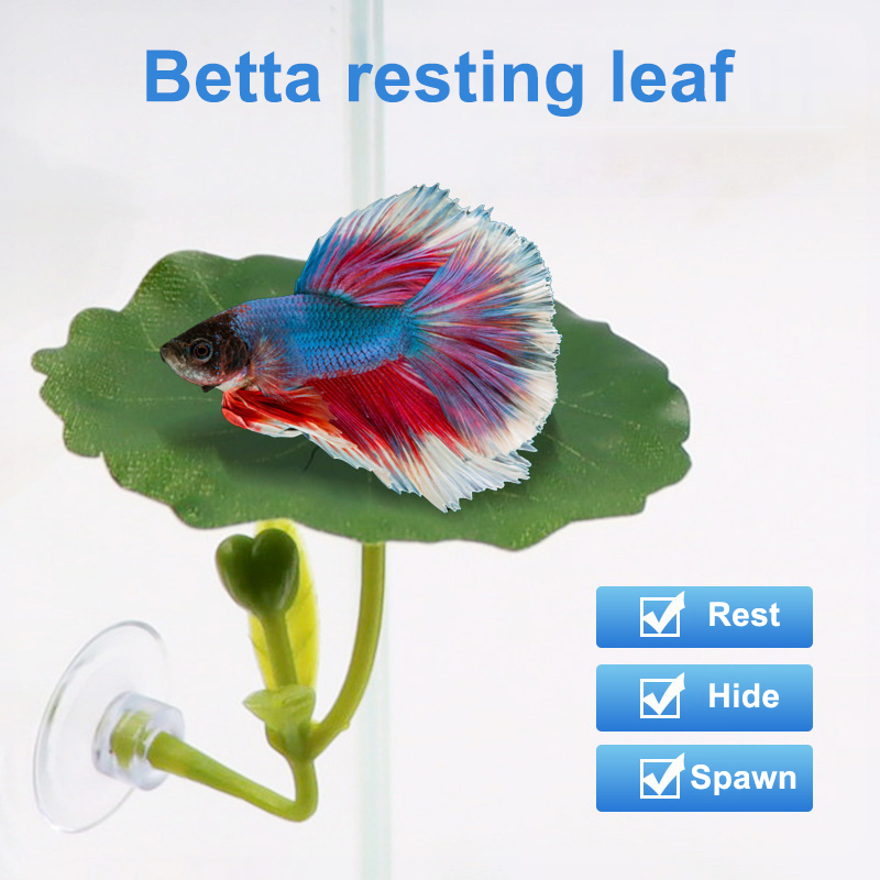 Aquarium Fish Betta - (Ce14)1/5PC Akuarium Daun Hijau untuk Ikan