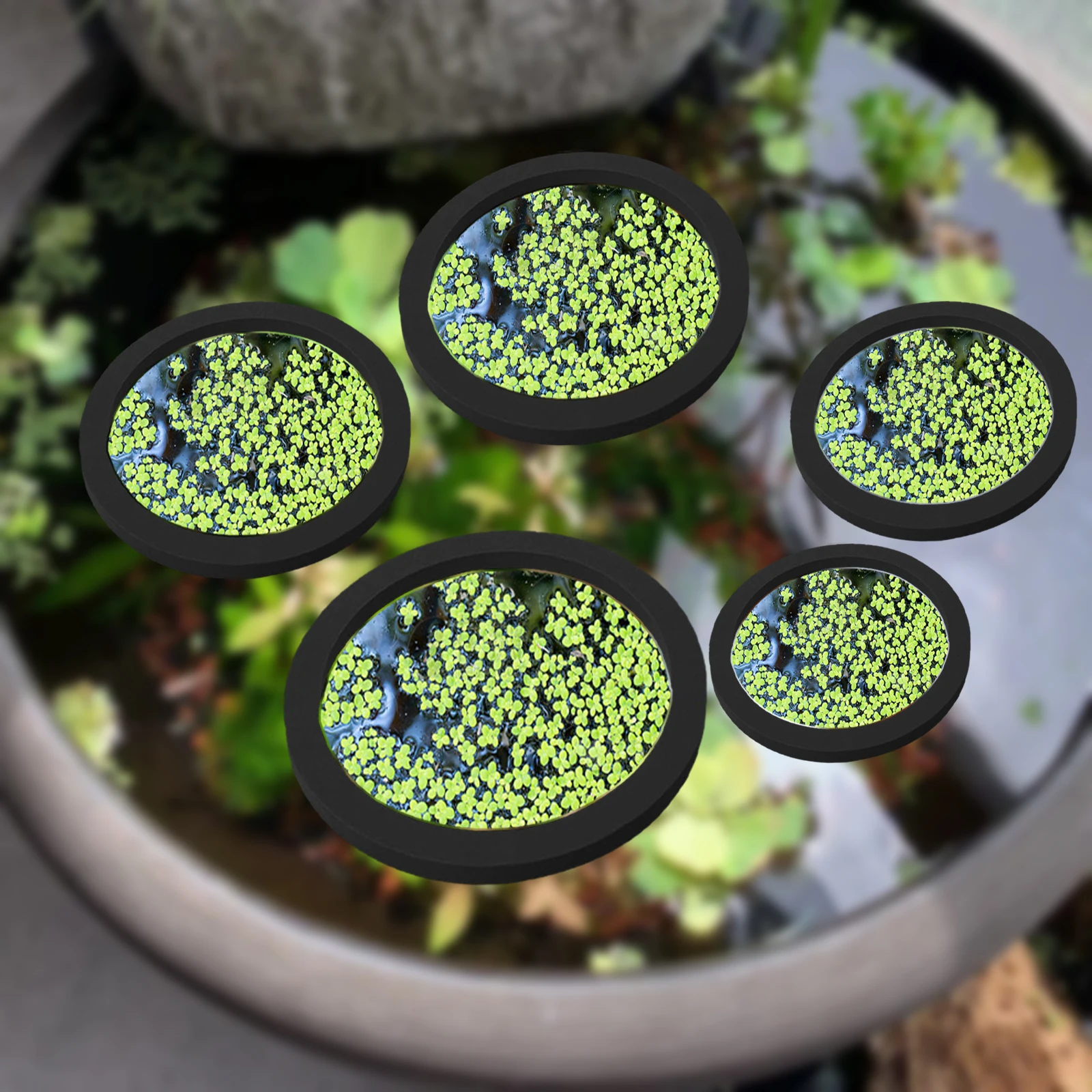 Aquarium Plants - 5 buah EVA cincin pemberi makan