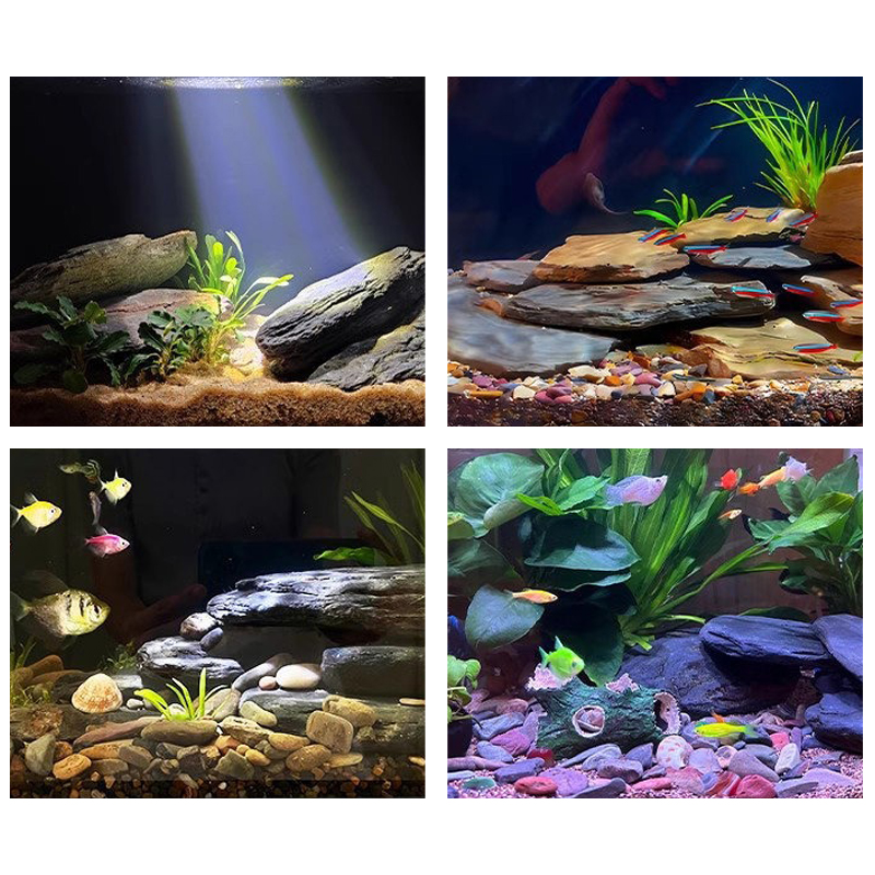 500/1000G Kit Batu Lanskap Tan - Fish Aquarium Home ulasan dan harga