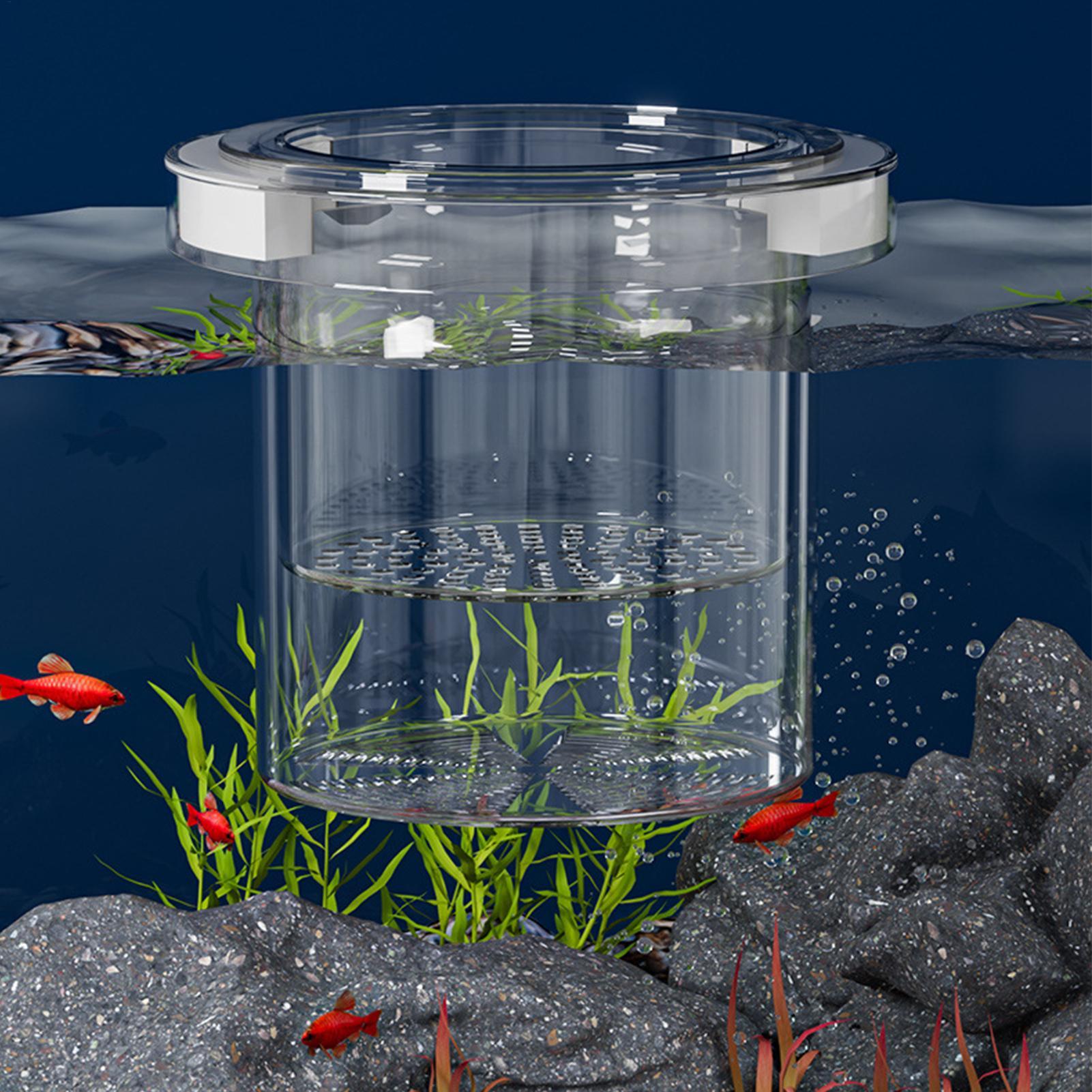 Kotak Isolasi Pembiakan Ikan T - Aquarium Fish Betta ulasan dan harga