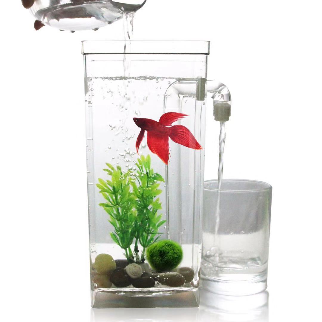 Aksesori Akuarium Kotak Ikan B - Betta Fish Tank ulasan dan harga