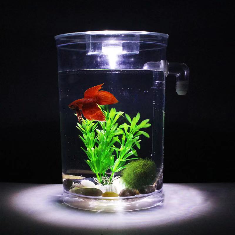 Aksesori Akuarium Kotak Ikan B - Betta Fish Tank ulasan dan harga