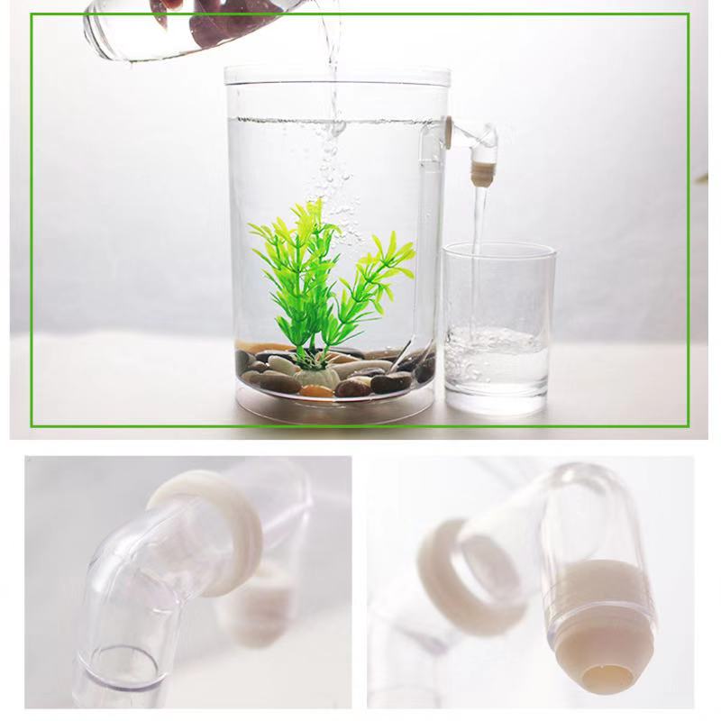 Aksesori Akuarium Kotak Ikan B - Betta Fish Tank ulasan dan harga