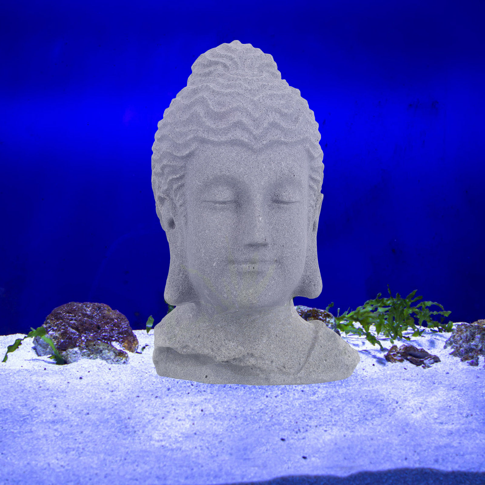 Patung Kepala Buddha untuk Med - Fish Aquarium Home ulasan dan harga