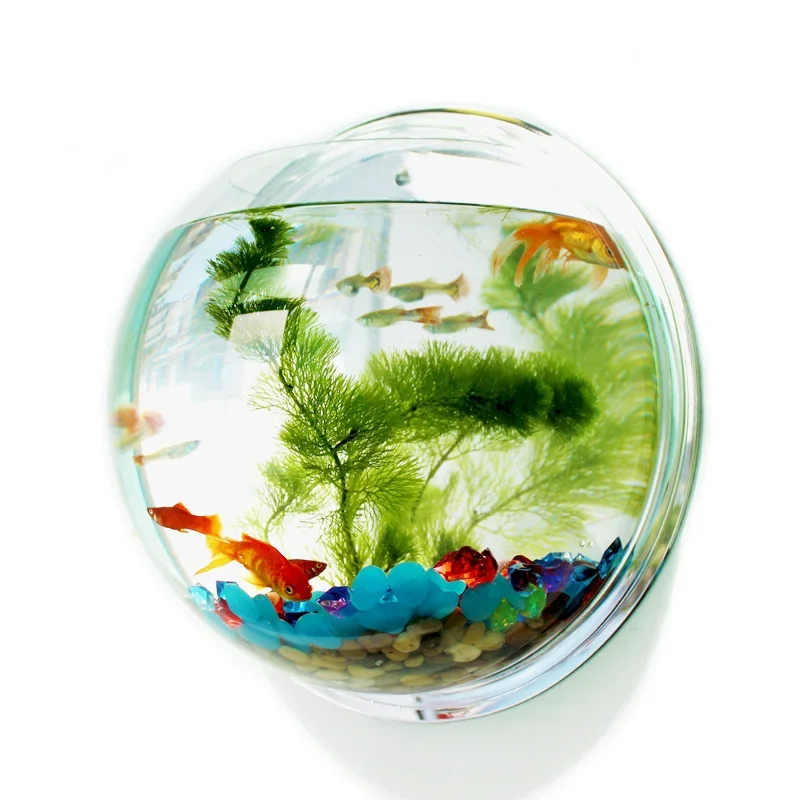 Akuarium Akrilik Pinsjar untuk - Betta Fish Tank ulasan dan harga