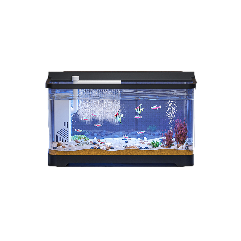 ABS kit pemula akuarium Betta  - Aquarium Fish Betta ulasan dan harga
