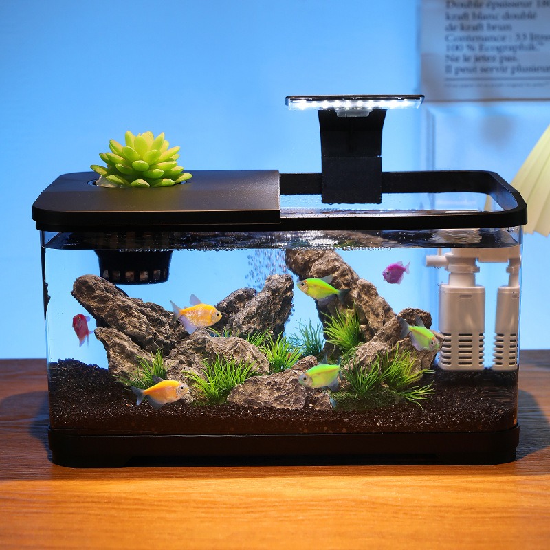 Akuarium meja dengan filter si - Fish Aquarium Home ulasan dan harga