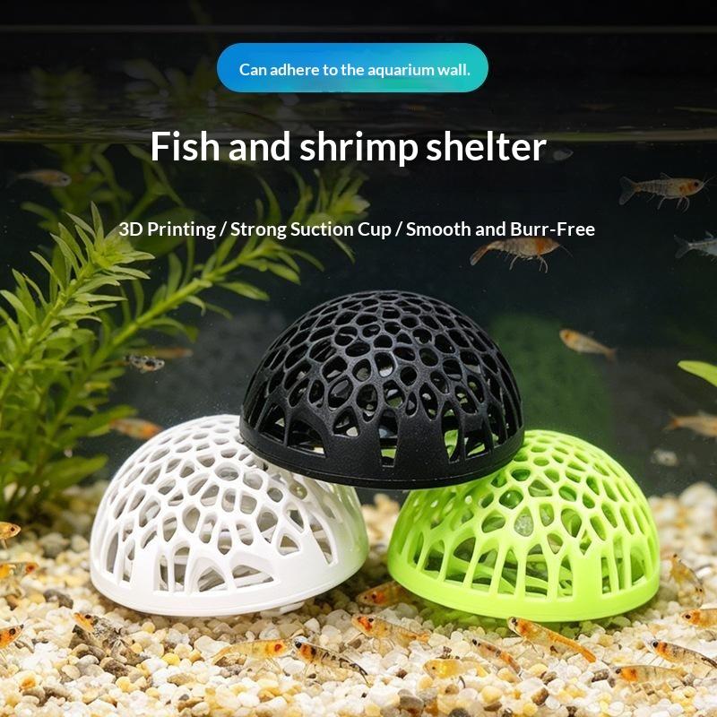 Rumah Udang Akuarium Baru, Ben - Aquarium Fish Betta ulasan dan harga