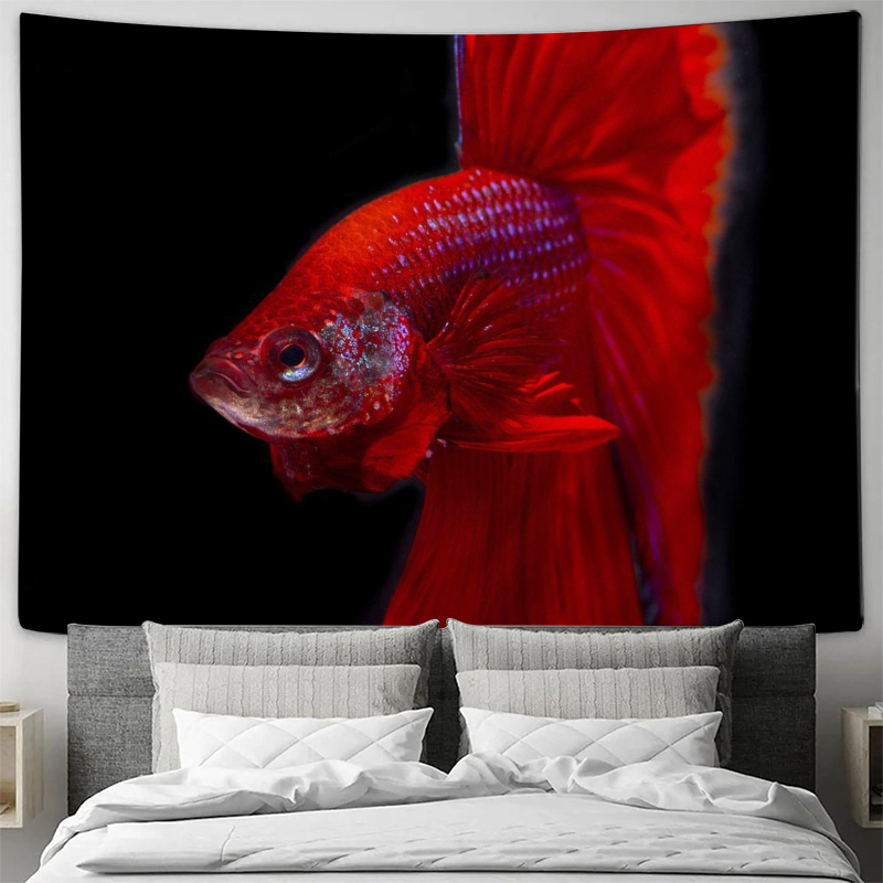Permadani Ikan Betta Merah Cer - Fish Aquarium Home ulasan dan harga
