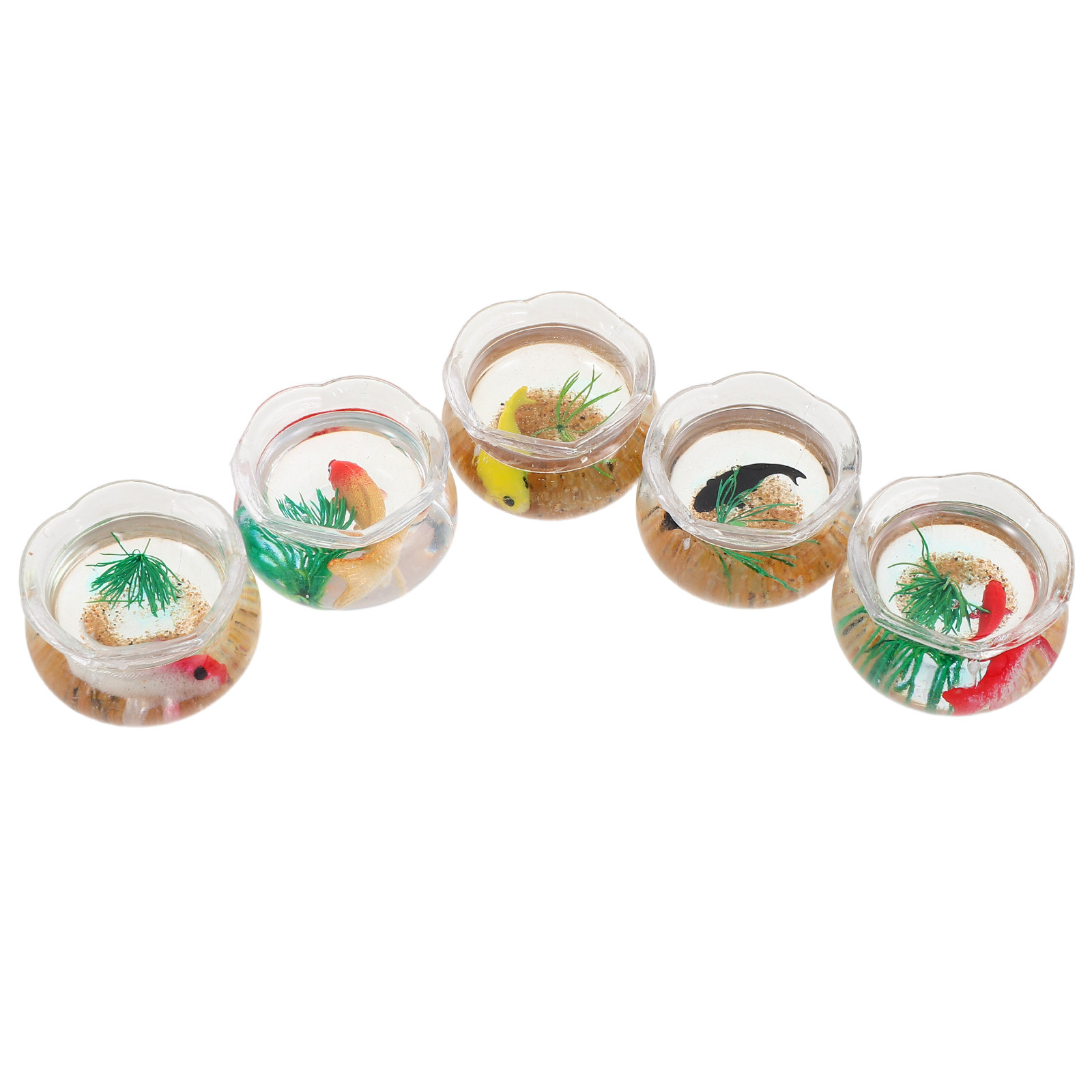 5 buah Set Akuarium Mini Ikan  - Aquarium Plants ulasan dan harga